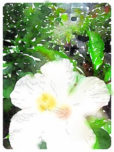 20140509