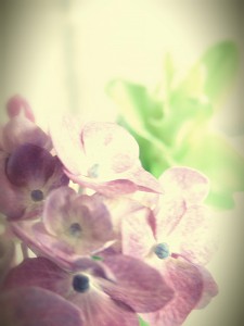 20140627