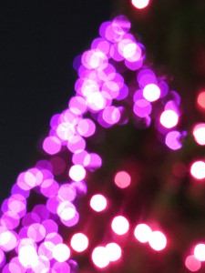 20141219