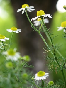 20150619