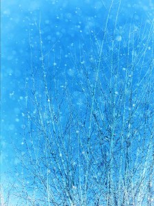 20160204
