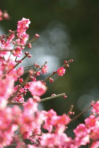 20160301