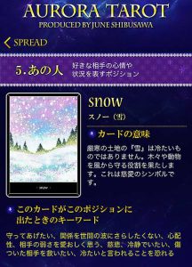 １３雪　キャプチャ