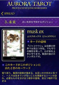 14 ジャコウウシ