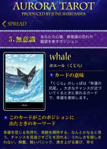 １２クジラ　キャプチャ