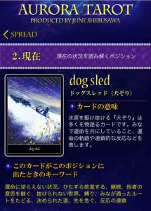 23 犬ぞり