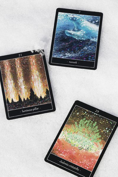 雪とタロットカード2