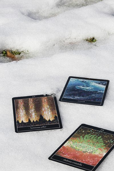 雪とタロットカード1