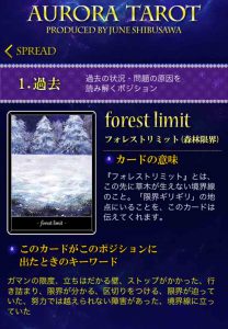 37　森林限界　キャプチャ