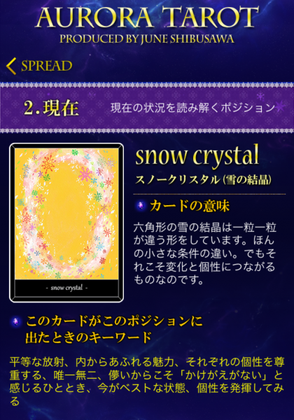 スノークリスタルキャプチャ