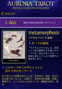 ４１メタモルフォシス　キャプチャ
