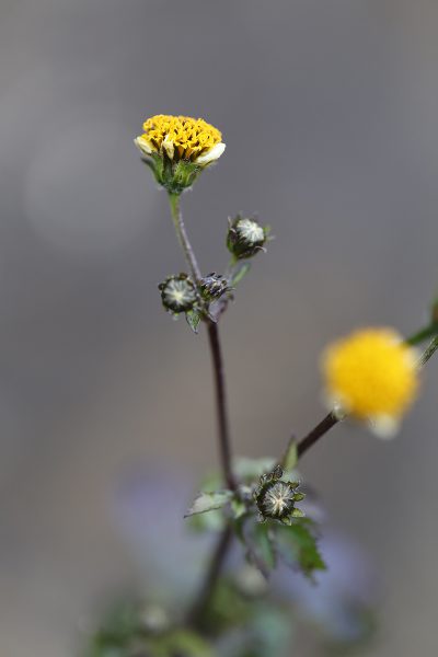 20170104